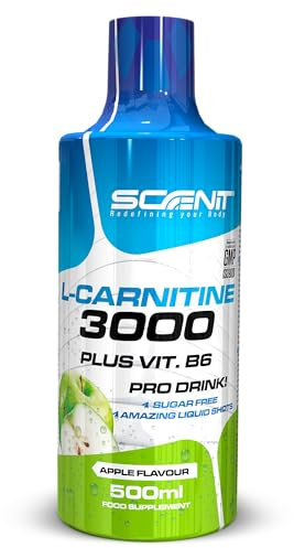 L Carnitine 3000 - L Carnitine - L-Carnitine - L Carnitine Liquide - Carnitine Liquide - LCarnitine - Carnitine Pure - L-Carnitine Liquide - 500 ml (Pomme)