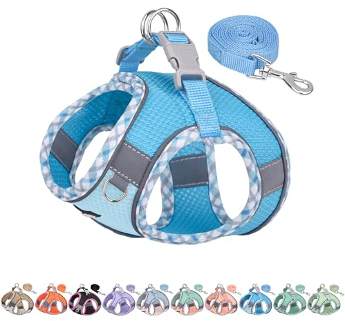 AIITLE Ensemble Harnais et Laisse pour Chien Anti-Traction, Harnais réglable pour Chien avec Gilet rembourré pour Tous Les Temps, Facile à Mettre sur Les Petits Chiens Bleu S