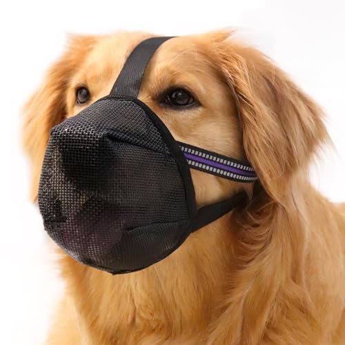 Maulkorb Mittlere Hunde, Hundemaulkörbe mit Klettverschluss, Atmungsaktive Hunde Maulkorb, Haustiermaske Hundemaulkorb mit Reflektierendem & Verstellbarem Riemen (M)
