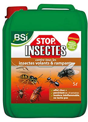 BSI - Stop Insectes - Volants Ou Rampants - 5l - Efficace A l'Intérieur Et Extérieur - Effet Immédiat - Longue Durée, vert