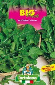 Semi Rucola Coltivata, 2 buste linea maxi,Mondonatura Srl