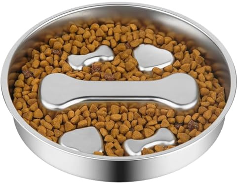 Ciotola per cani con freno di alimentazione, 500 ml, in acciaio inox, con base antiscivolo, ciotola per cuccioli con vassoio per mangiare, per occupazione, esercizio, aiuto all'allenamento, per
