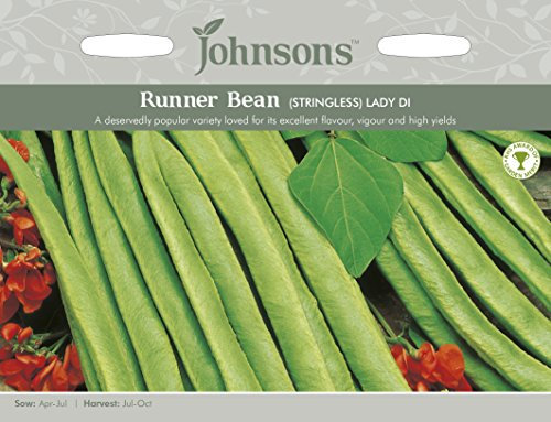 Johnsons Runner Bean Lady Di (Stringless)