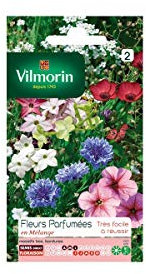Vilmorin - Sachet graines Fleurs parfumées en mélange