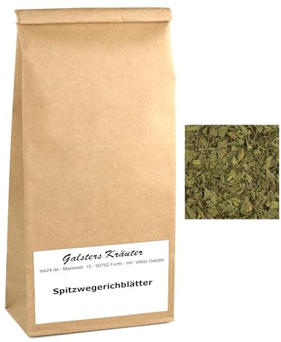 500g Spitzwegerichblätter Spitzwegerich-Tee Plantago lanceolata | Galsters Kräuter
