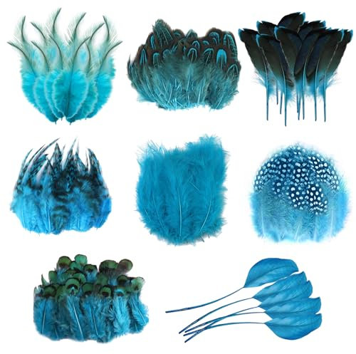 Molirex Federn Blau zum Basteln, 160 Stück Fasanenfedern, Acht Stil Naturfedern für Bastelfedern für Traumfänger DIY Ohrringe Party Masken Schmuck Ostereier Perlhuhnfedern