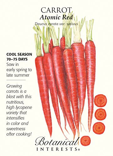 Las semillas de zanahoria atómica Rojo - 800 mg
