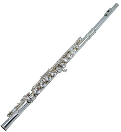 tvärflöjt instrument Flöjt 16 håls instrument Nybörjare flöjt öppet hål instrument