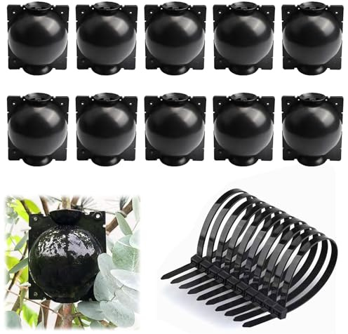 10 Piezas Dispositivo de Injerto de Plantas, Caja de Raíces de Plantas Reutilizable, Caja de Cultivo de Raíces de Plantas, con 10 Bridas de Cable para Injertar Plantas Trasplante y Enraizamiento