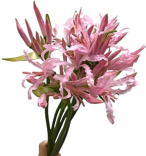 10 Fresh Lycoris Pink Spider Lily Bouquet Hydroponic Flower Arrangement Gifts for home decoration birthdays anniversaries healing sympathy friendship and love
