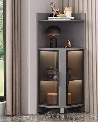 Generisch Vitrine aus Glas mit LED-Lichtern, modern, freistehend, Eck-Bücherregal, Curio-Regal für Schlafzimmer und Büro, 2 Ebenen, 120 cm Höhe, Grau und Schwarz