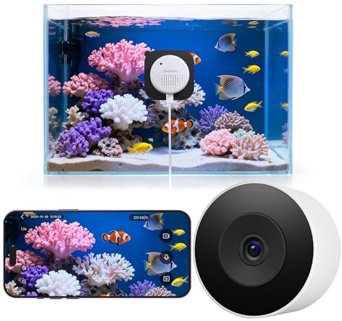 litokam 2K 3MP Aquarium & Terrarium Pet Camera, 2.4G&5Ghz WiFi Window Bird Feeder Camera, QHD Night Vision, Anti-Glare & Anti-Reflection, Easy & Quick Install, AI-Powered Detection, 24/7 Recording