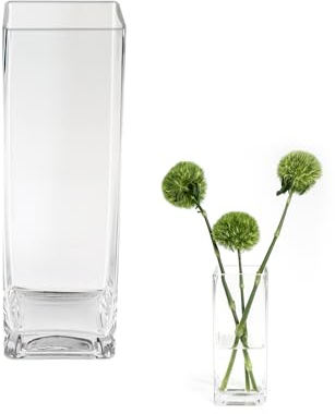 ASSRECT Blumenvase Glas 20cm Quadratische Glasvase für Tischdeko Klarglasvase Moderne Dekorative Vasen für Home Office Hochzeit Dekor Geschenk
