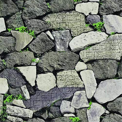IHFMPFKJ Papel Tapiz con patrón de Piedra Negra para Dormitorio de Adultos, Papel Tapiz 3D para Sala de Estar, Papel Tapiz Moderno Minimalista no Tejido, Rollo de Papel Tapiz en Relieve