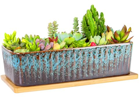 ARTKETTY Succulent Plant Pot - 30.5 CM Large Window Sill Planter with Drainage Tray, Long Rectangle Ceramic Pots for Indoor Cactus Plants Shallow Bonsai Window Box for Home