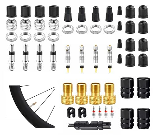 55 valvole per bicicletta, set di valvole per bicicletta, con adattatori e tappi, adattatore Presta su Schrader, tappi valvola, inserti valvola, chiavi per valvole per MTB, bici da corsa, e-bike, City