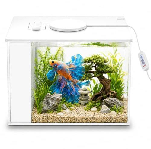 MeYuxg Petit aquarium complet en verre transparent - 3,7 l - Nano aquarium en acrylique avec pompe filtrante - Éclairage LED - Kit de démarrage pour petits poissons, crevettes et plantes (blanc)