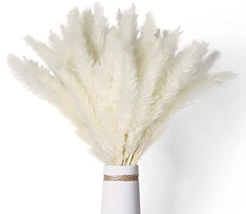 Uikdjgu 40 Naturligt Torkat Vitt PampasgräS 45 Cm Fluffigt och SväNgande DIY Boho-VäXt för BröLlops Blomsterarrangemang