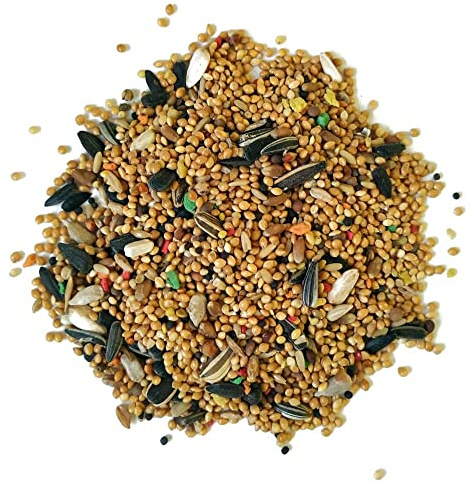 Alimento para Ninfas y Agapornis, periquitos Sunseed 3 Kg
