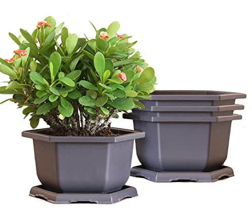MissFox Bonsaiskål 4 stycken plastblomkrukor med underlägg, sexkantig bonsaikruka av plast, bonsai, träningskrukor, kit för trädgård, vardagsrum, kontor (15 x 9 cm)