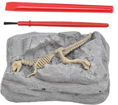 Kit d'excavation - Squelette Acide - Modèle sensoriel - Jouet éducatif Scientifique - pour Pâques, fête d'anniversaire - pour