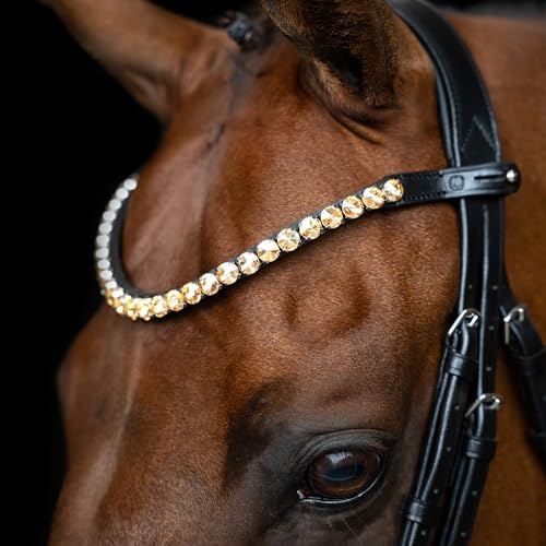 Imperial Riding pannband IRH Grande, pannband av läder med glasstrass och pennlås, guld, full