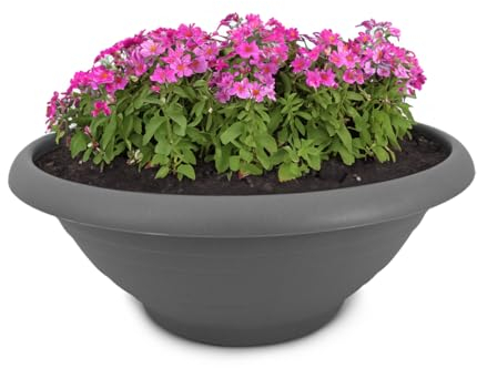 Vaso per piante e sottovaso resistente alle intemperie con foro – vaso rotondo da 30 cm di colore grigio come fioriera resistente al gelo per esterni – grande vaso per piante come gioiello per tomba