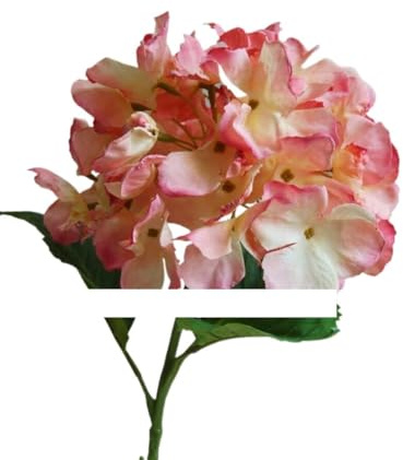 Exotiska torkade blommabukett riklig stora hortensistammar med blad, 5 st filialer konstgjorda blommor, lämpliga för bröllopsblommor, hemblommor dekoration (ingen vas) (gul)
