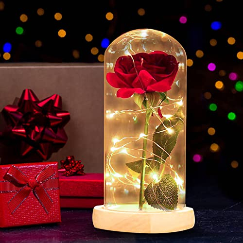 Die Schöne und das Biest Rose, Ewige Rose, Rose in Transparent Kuppel mit LED Licht, Forever Rose Blumen Geschenk für Hochzeit, Valentinstag, Muttertag, Geburtstag, Thanksgiving