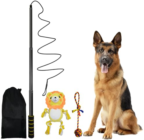 Aitmexcn Reizangel Hund, Eizangel Hunde Martin Rütter, Ausziehbar Robuste Flirt Pole für Kleine & Große Hunde und Katzen - Robuste & Leichte