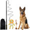 Aitmexcn Reizangel Hund, Eizangel Hunde Martin Rütter, Ausziehbar Robuste Flirt Pole für Kleine & Große Hunde und Katzen - Robuste & Leichte