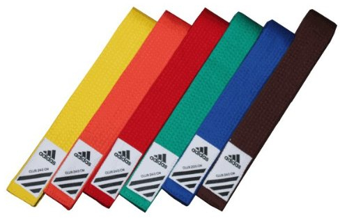 adidas Budogürtel/Kampfsportgürtel Club gelb, 260 cm