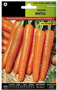 Semillas de Zanahoria para Huerto Urbano Semillas de Cultivo Urbano