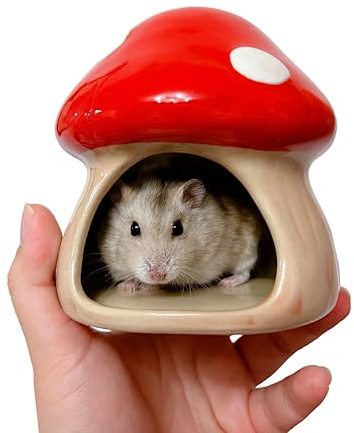 YZHZOM Ceramic Hamster Hideout - Small Animal Houses & Habitats for Mice, Gerbils, Lemmings or Other Small Pets - Accessories