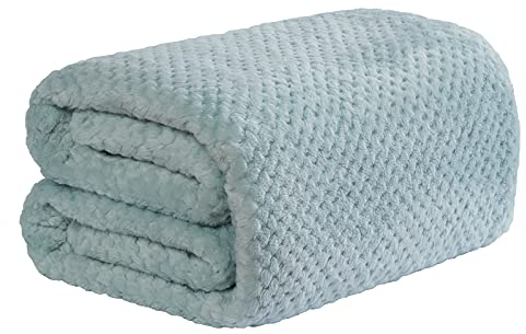 Dreamscene Fluffy Fleece Throw Blanket for Sofa, Soft Cosy Warm Honeycomb Waffle Mink Blanket for Bed Lightweight Travel Faux Fur Double Throws, Duck Egg Blue - 150 x 200cm