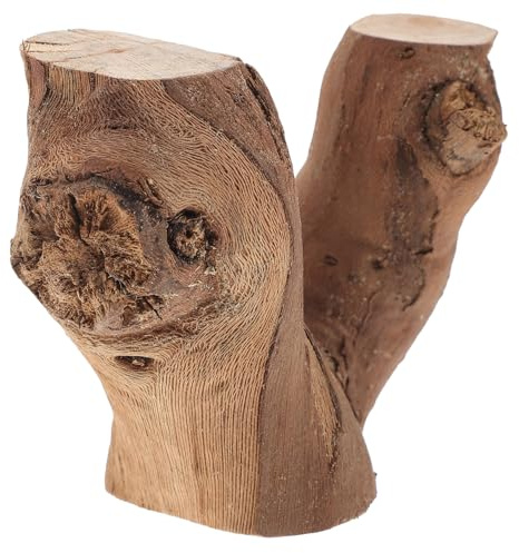 Uonlytech Branches Décoratives de Vigne Sèches 5 Cm en Bois Naturel Rotin Rouge Sinueux Décor Intérieur Animaux Grimpeurs Base Stable pour Aménagement Paysager DIY Maison Style Aléatoire