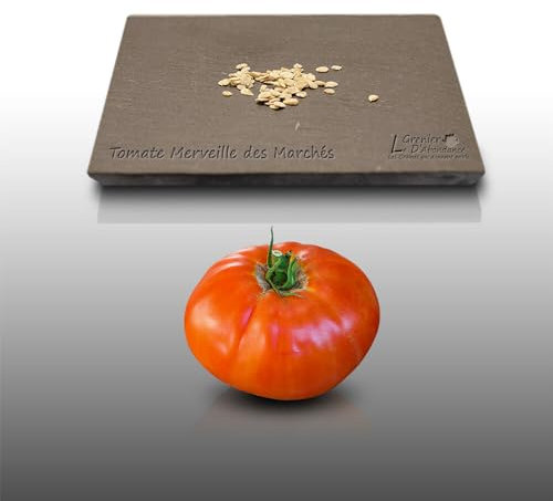 50 graines à semer - Le Grenier d'Abondance - TOMATE Merveille des marchés - Beaux fruits résistants