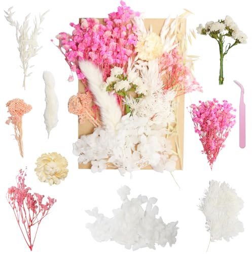 Real Dried Flowers Natural Dry Flowers Mixed Colors Dried Leaf Bouquet for DIY Arts, Resin, Jewelry, Scrapbooking & Wedding Home Decor(White Pink)