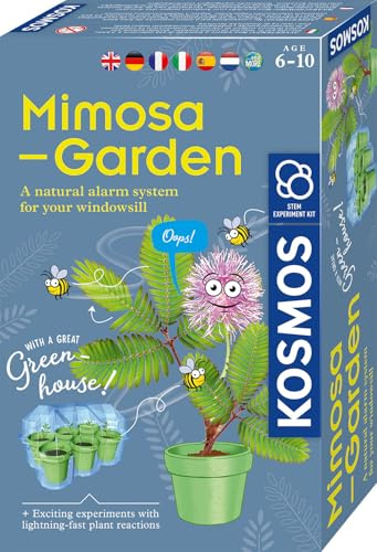 MBE Mimosa Garden INT: Experimentation cabinets
