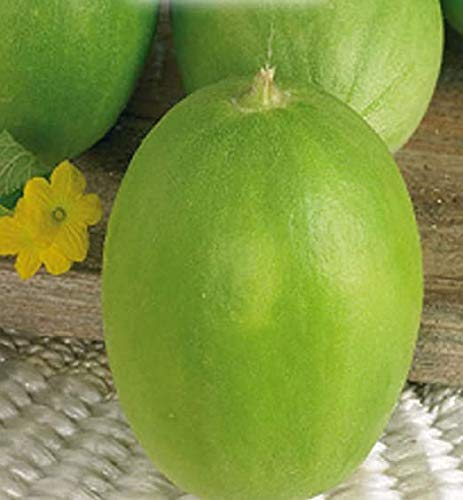 CAROSELLO BIANCO LECCESE NR.40 SEMI