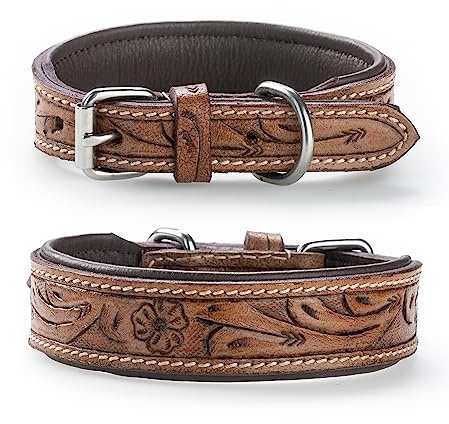 Jack & Russell Exklusivt hundhalsband av läder med snidade blommönster/ornament - halsband av buffelläder - vadderad hund läderhalsband Abey (M (33,5-41 cm