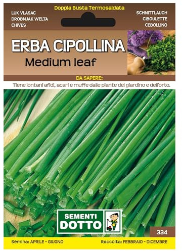 Sicignano | Semi Erba Cipollina Medium Leaf, Pianta Aromatica Perenne, Busta Extra - 4 Confezioni da 0.6g, Ideale per Ricette Fresche, Aromatizzare Insalata Salsa Vivande, Pianta da Vaso