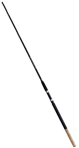 Lineaeffe Canna da Pesca con Feeder o Method Picker 3 m 25-75 g Telescopica
