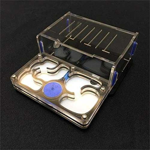 ANT GRAPE M Plane Moisture with Feeding Area ant nest,ant Farm Acrylic,Insect ant Villa pet Advanced Mania for House Ants (Black)