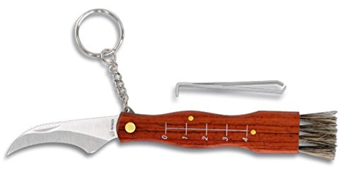 Albainox - Coltello per funghi, 17 cm, con scala, spazzola e borsa
