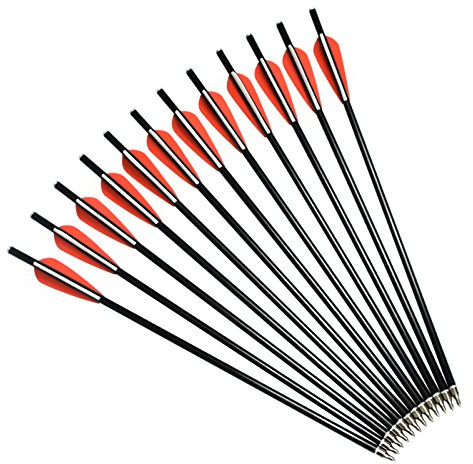 NIKA ARCHERY Crossbow Bolts Fiberglass Arrows 14 16 18 with Flat Nock 100gr Changeable Tips for Outdoor Hunting Beginner, Pack of 12