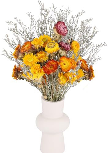 LAUMOE Getrocknete Blumen Deko,Trockenblumen Groß Set 43cm Trockenblumenstrauß Vase mit Trockenblumen für Wohnzimmer Home Hochzeit Vasen Tischdeko