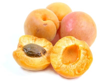 Aprikosenbaum, Prunus armeniaca 100-120 cm inkl. Topf Winterharte Aprikose für Garten & Kübel | Obstbaum mit leckeren Früchten, pflegeleicht & robust Aprikosenbaum kaufen