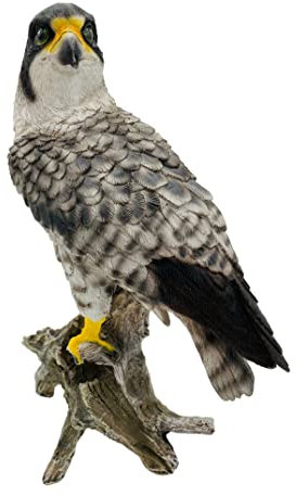 G & H Decor - Statue en résine de Faucon pèlerin - Figurine Peinte à la Main - Détails complexes - Décor de pelouse résistant au Gel et à la décoloration - Sculpture d'oiseau de Proie
