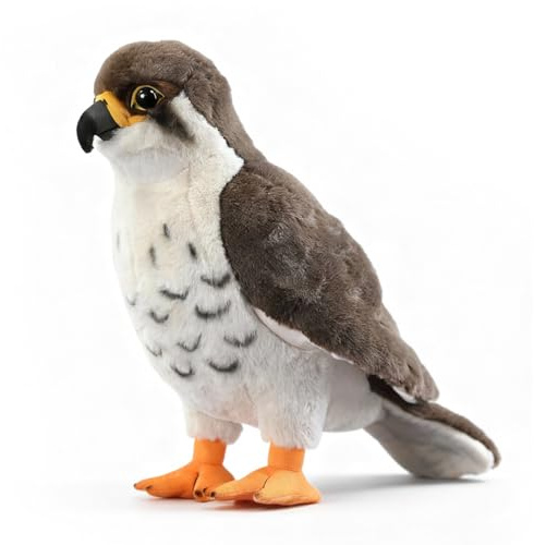 PuffPurrs Falco Pellegrino Peluche Realistico – Giocattolo rapace 28 cm per amanti della natura e della fauna